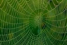 دانلود کامل ترین طرح جابر چهارم دبستان تار عنکبوت 